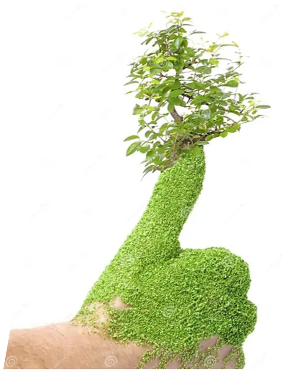 Bobbysgreenthumb.com